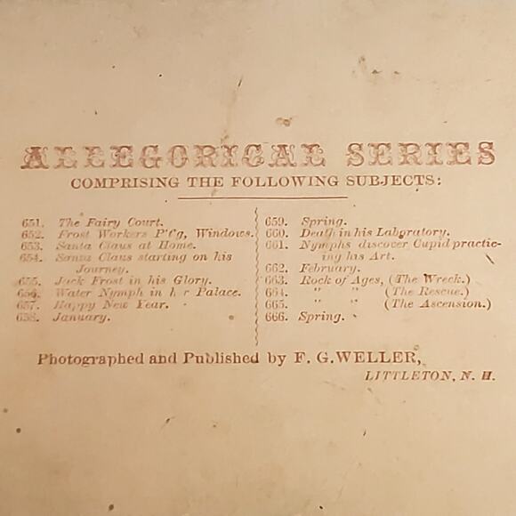 Jack Frost in His Glory Winter Scenery Underwood Genre Stereoview Antique 1800 - Picture 3 of 6